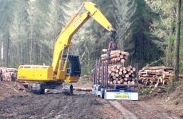 Logging