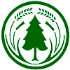 NZFFA logo: green conifer tree on white background